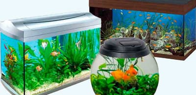 Купить аквариум в Краснодаре