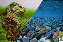 ФОН BARBUS двусторонний для аквариума "Зеленое Море/Горная Река" 45см*1500см 1м 056 
