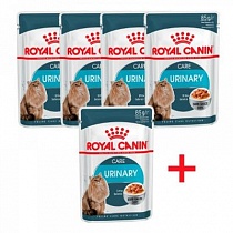 ROYAL CANIN пауч URINARY Сare комплект корм для кошек 85г*4+1 для поддер терапии МКБ 
