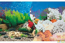 ФОН для аквариума "Голубые Гавайи/Белый коралл" 0,4*15  9019/9029 /1м/ 