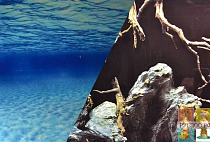 ФОН BARBUS двусторонний для аквариума "Морская лагуна/Натуральная мистика" 60см*1500см 1м иbackd052 