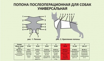 ПОПОНА ТАЛИСМЕД для собак №4 23-35кг.послеоперационная (защищает рану от воспаления) 69-80см 